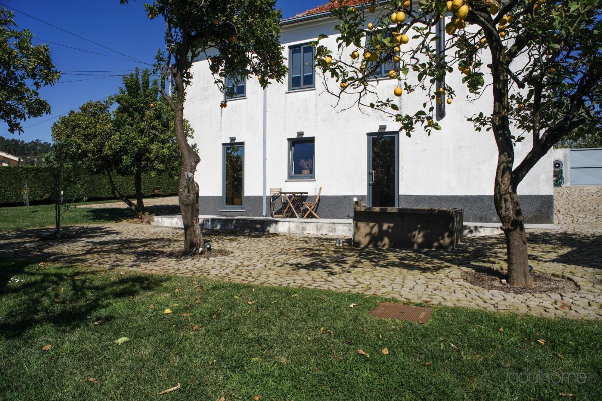 12 Casa D'Avo Villa Албергария-а-Веля Екстериор снимка